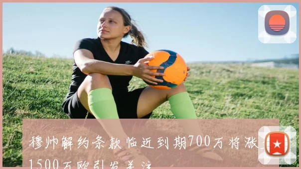 穆帅解约条款临近到期700万将涨至1500万欧引发关注