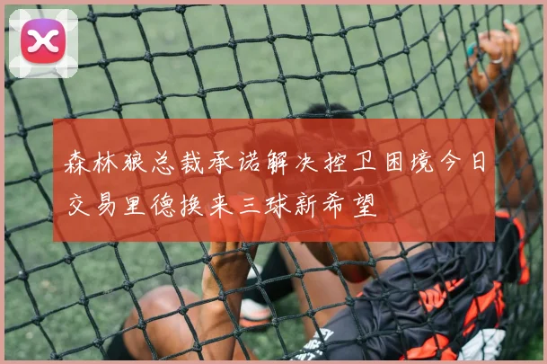 森林狼总裁承诺解决控卫困境今日交易里德换来三球新希望